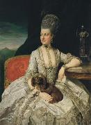 Archduchess Maria Christina, Johann Zoffany